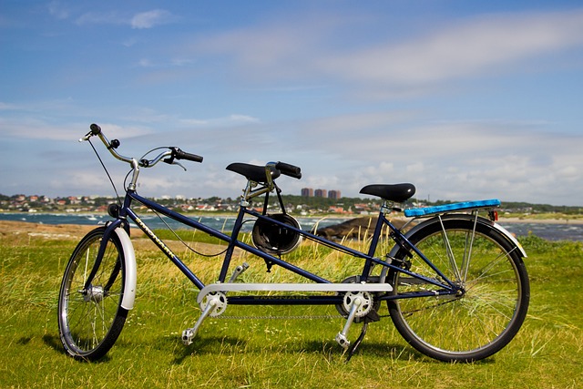 Tandem E-Bike